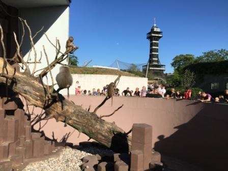 zoo_1a