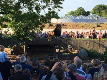 zoo_2a
