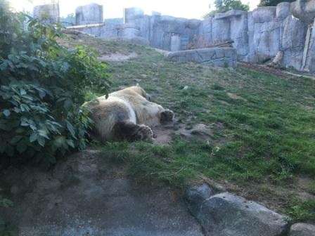 zoo_3a