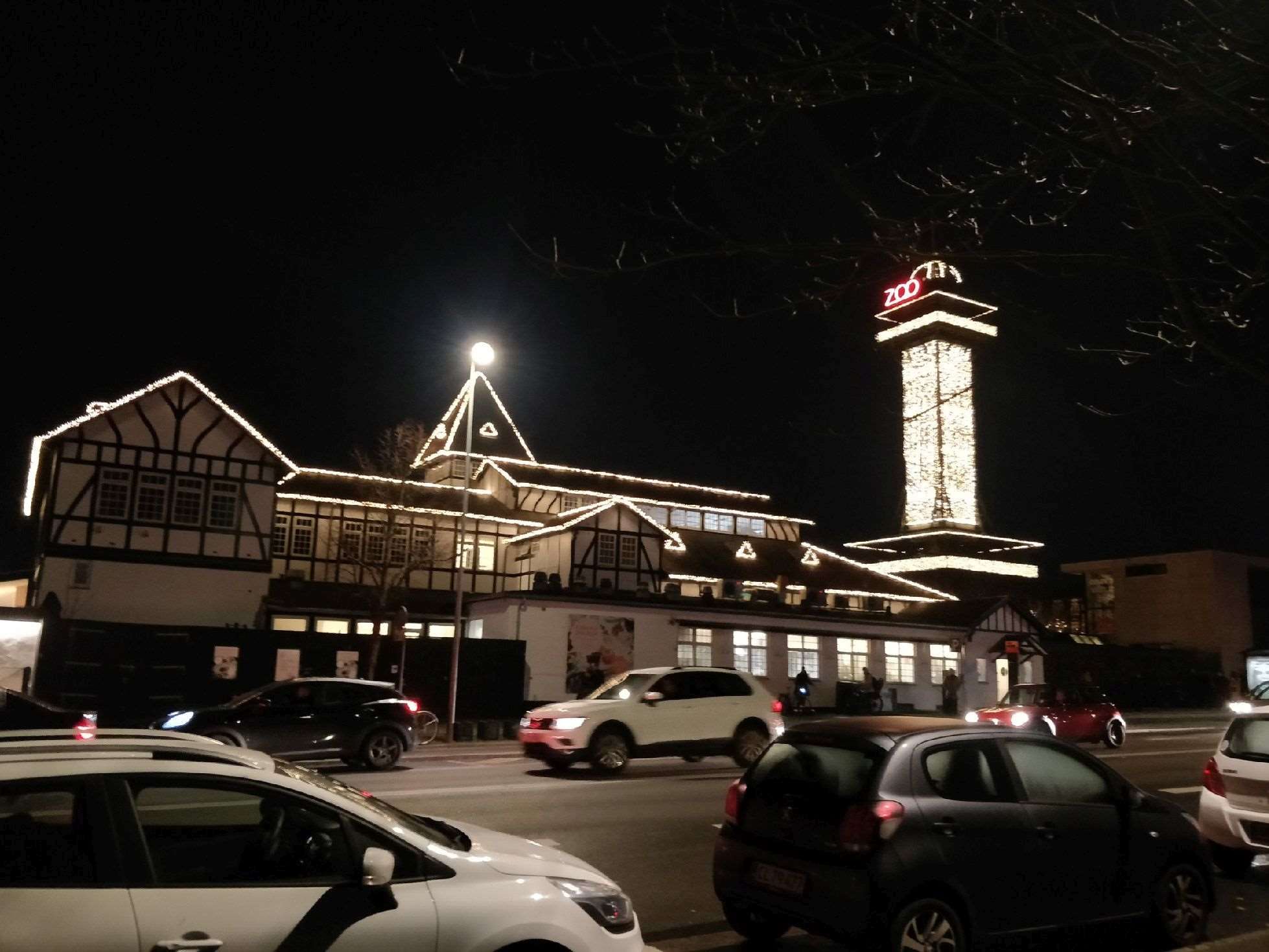 zoo_aften